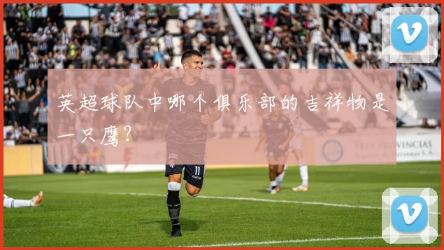 英超球队中哪个俱乐部的吉祥物是一只鹰？