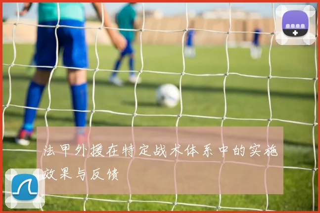 法甲外援在特定战术体系中的实施效果与反馈