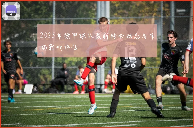 2025年德甲球队最新转会动态与市场影响评估