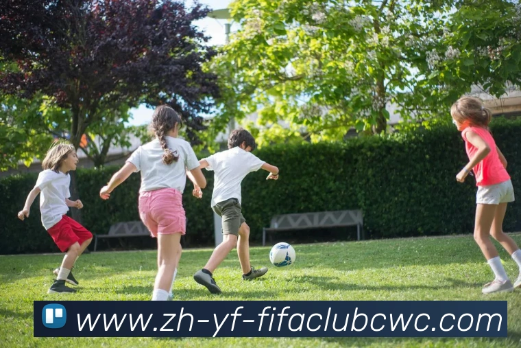 世界杯平台平台生态图